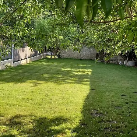Le Gîte des Murmures Urcel Extérieur photo