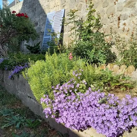 Le Gîte des Murmures Urcel Extérieur photo